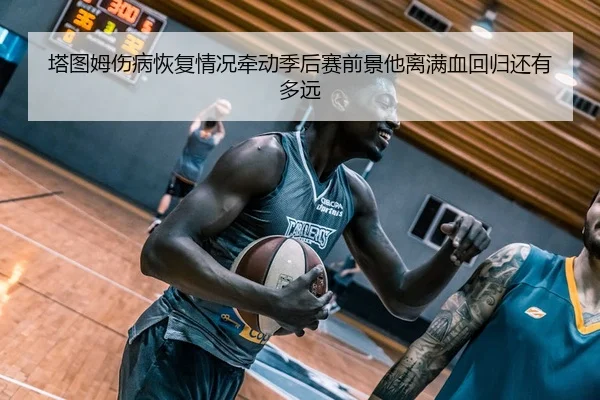 ta-tu-mu-shang-bing-hui-fu-qing-kuang-qian-dong-ji-hou-sai-qian-jing-ta-li-man-xue-hui-gui-huan-you-duo-yuan-3-372.jpg