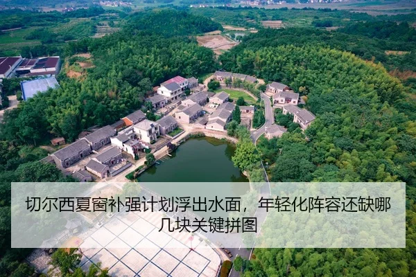 qie-er-xi-xia-chuang-bu-qiang-ji-hua-fu-chu-shui-mian-nian-qing-hua-zhen-rong-hai-que-na-ji-kuai-guan-jian-pin-tu-3-856.jpg